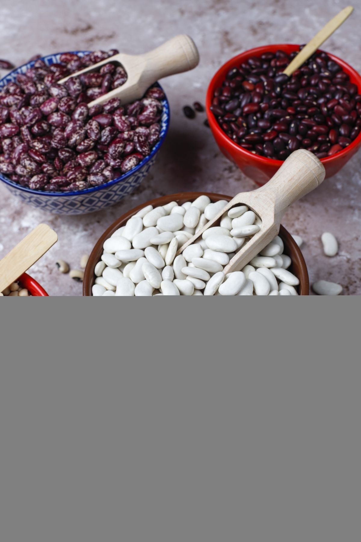 Export-grade dry beans