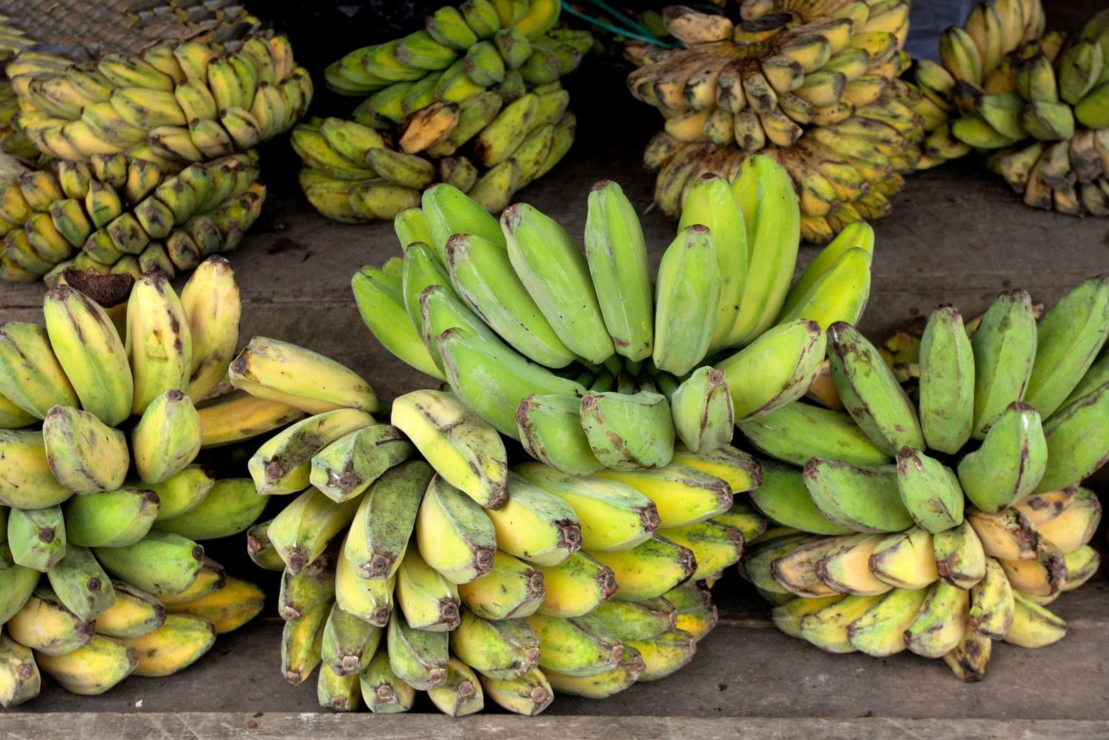 Export-grade Banana, batch 2