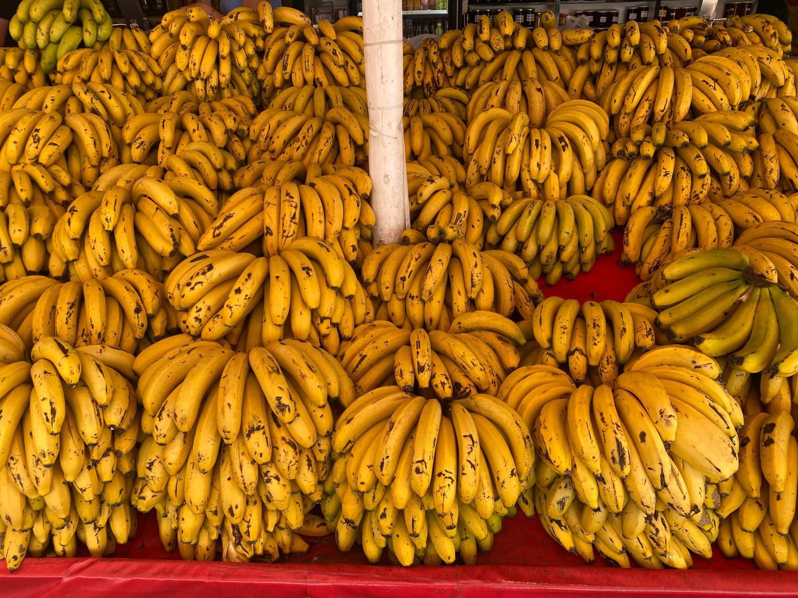 Export-grade Banana, batch 5