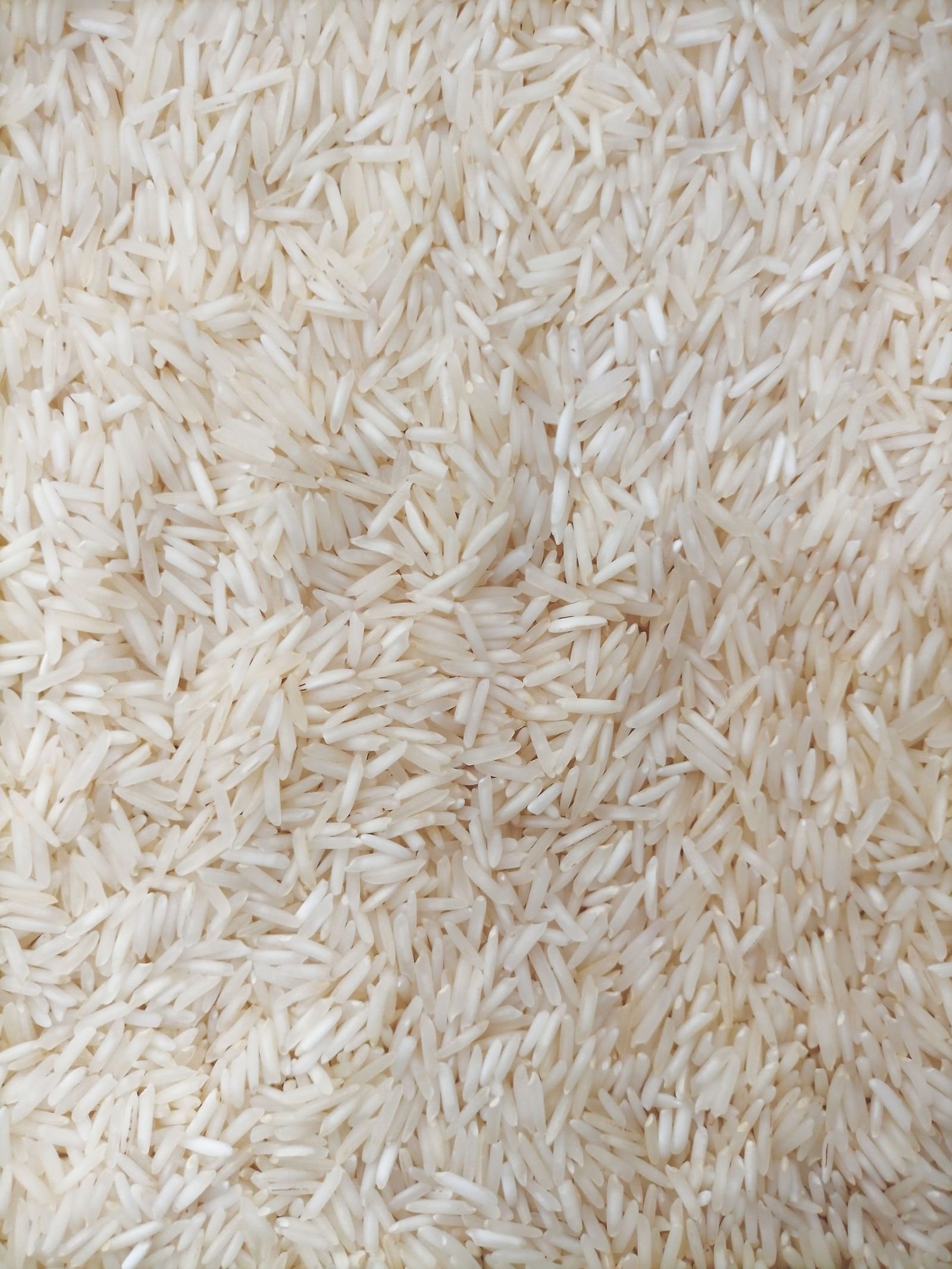 Export-grade Basmati Rice, batch 1