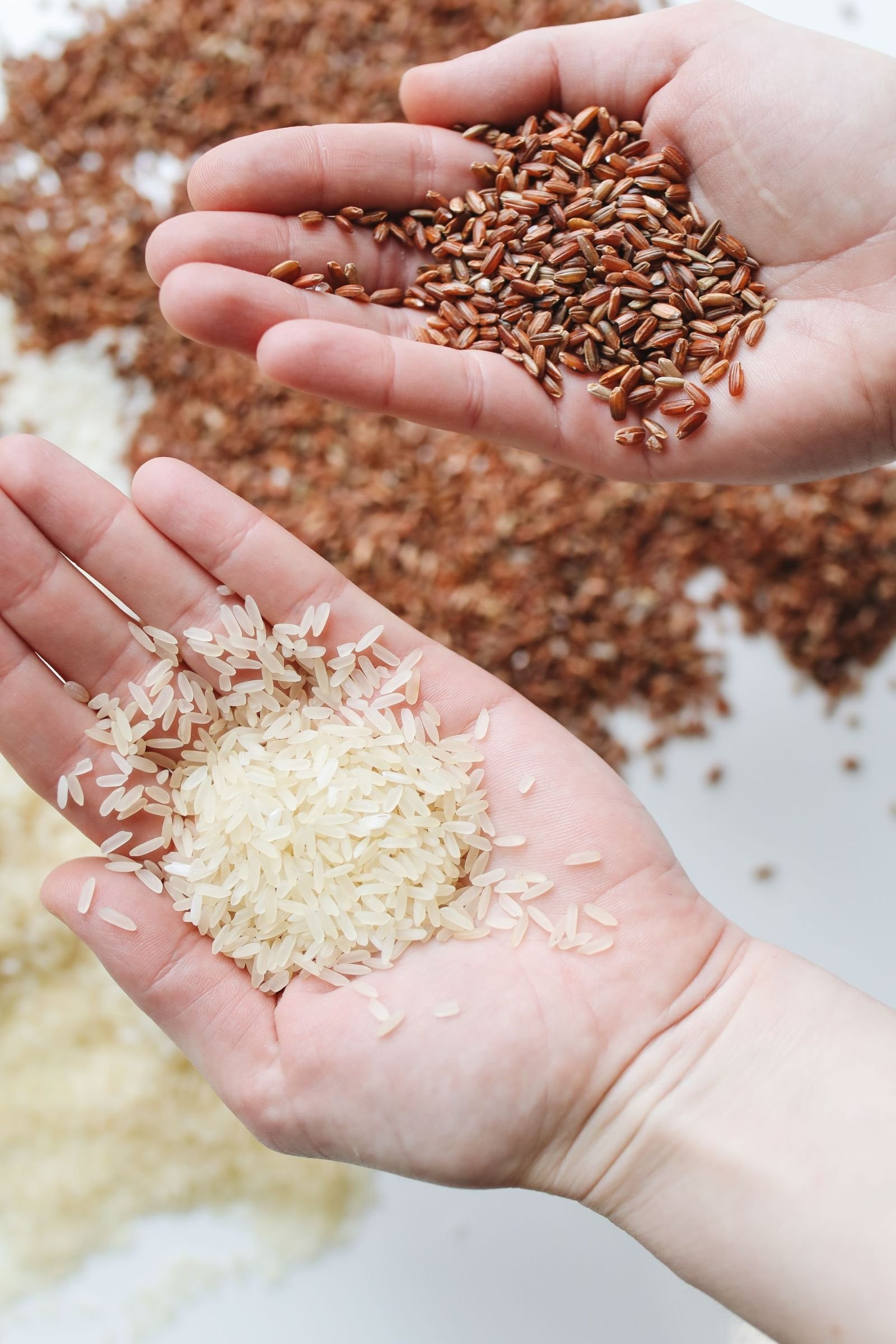 Export-grade Basmati Rice, batch 5