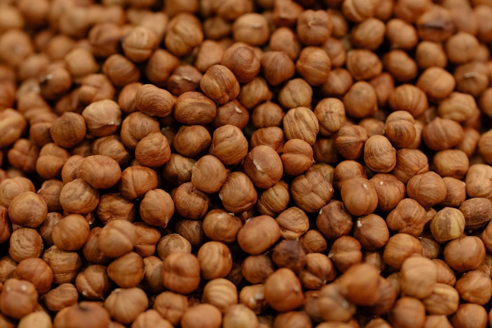 Export-grade Chickpeas, batch 4