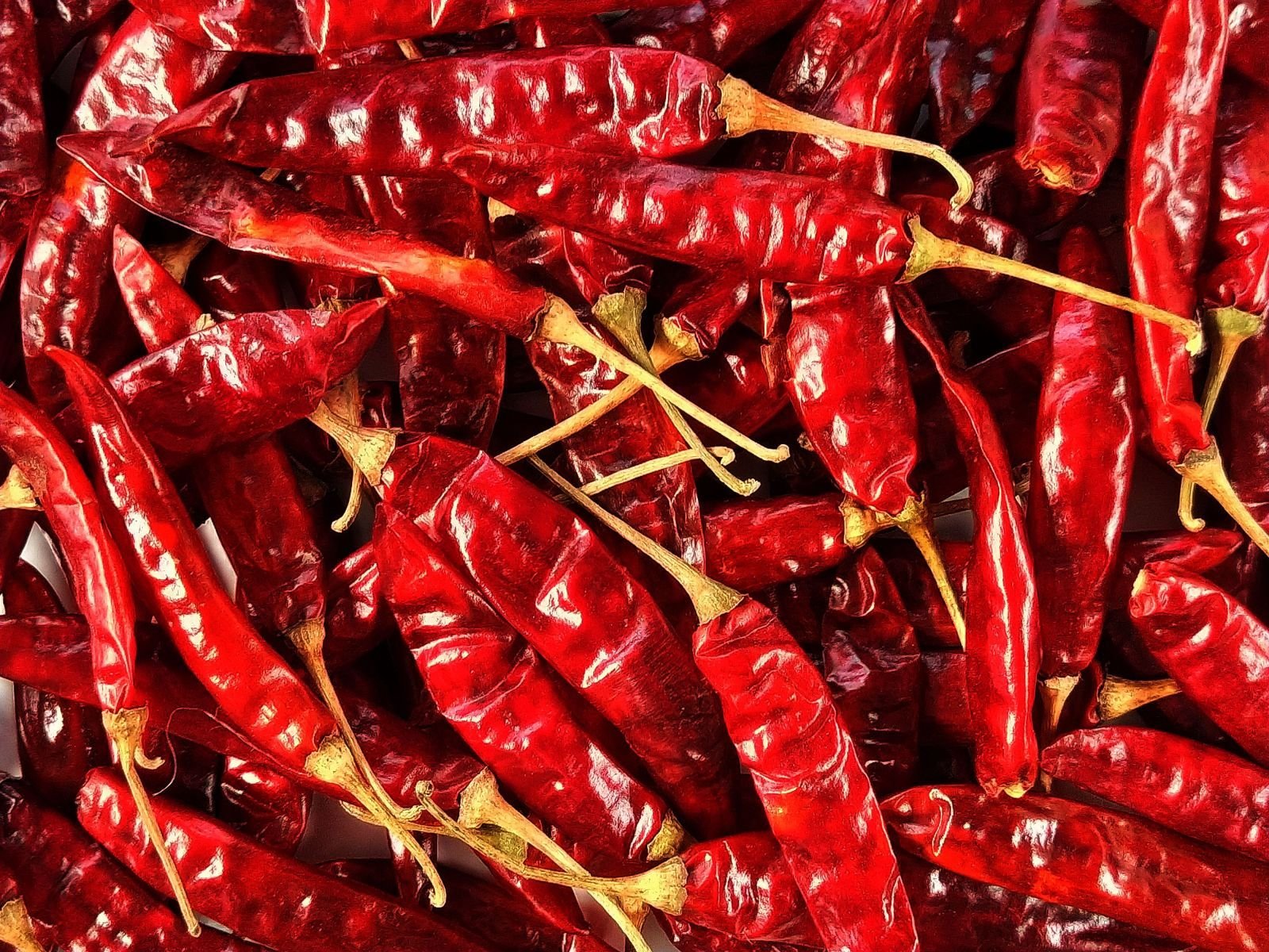 Export-grade Dry Red Chilli, batch 1