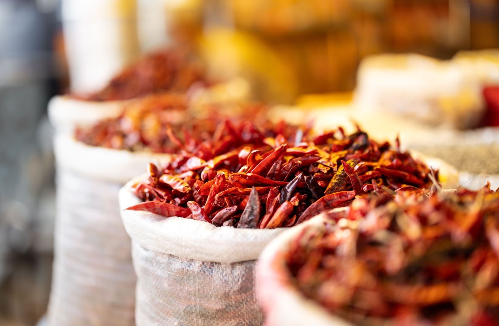 Export-grade Dry Red Chilli, batch 2