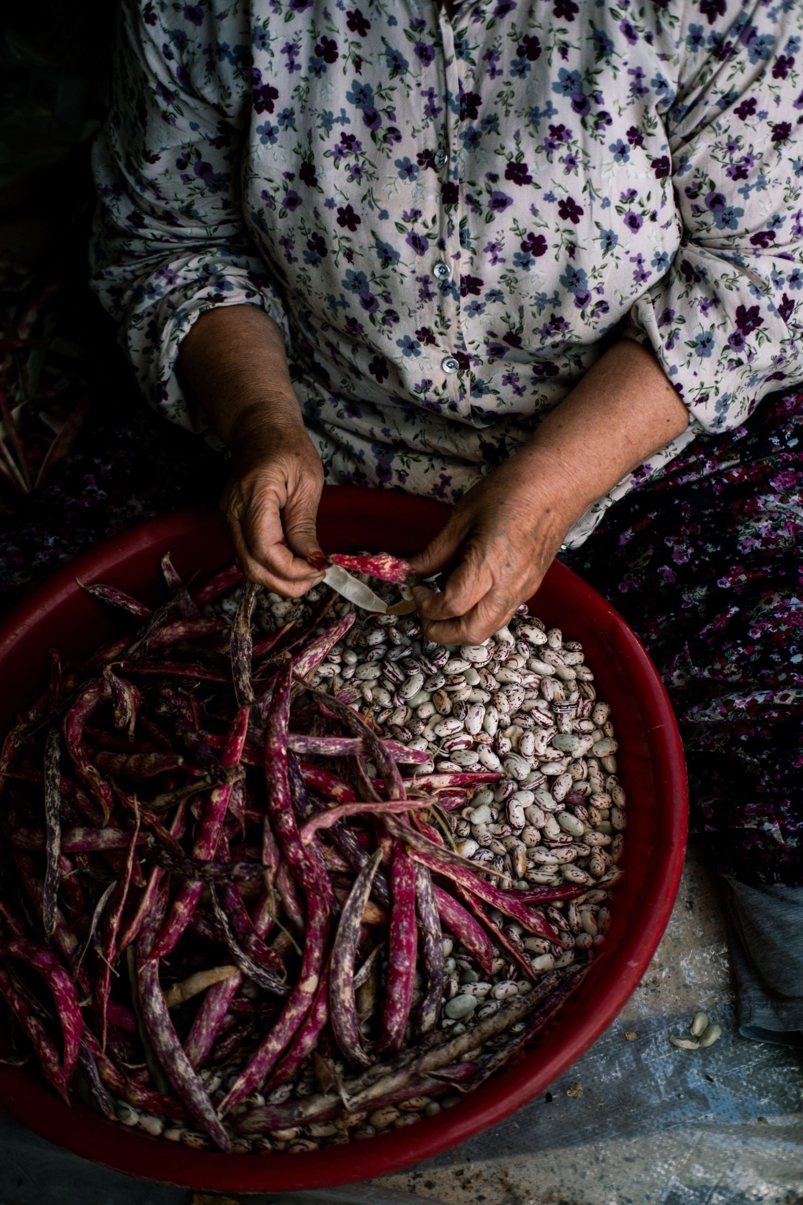 Export-grade Dry Beans, batch 3