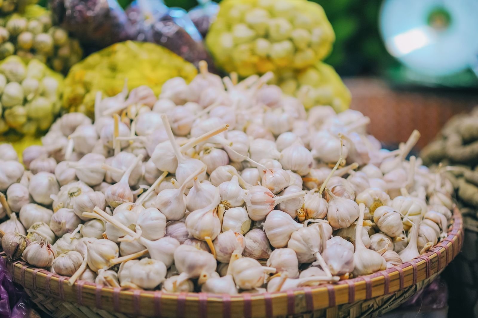 Export-grade Garlic, batch 4