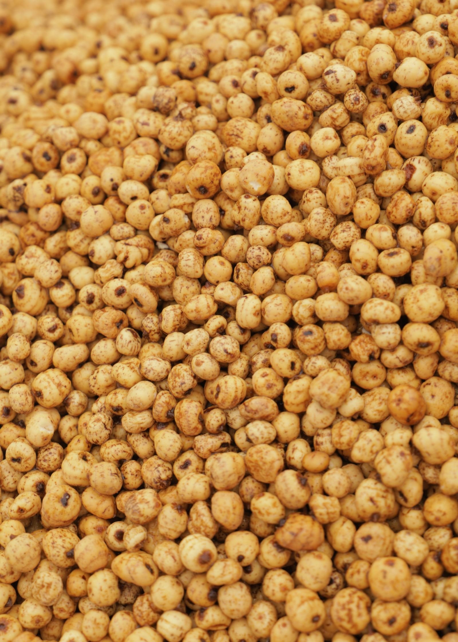 Export-grade Makhana (Fox Nuts), batch 2