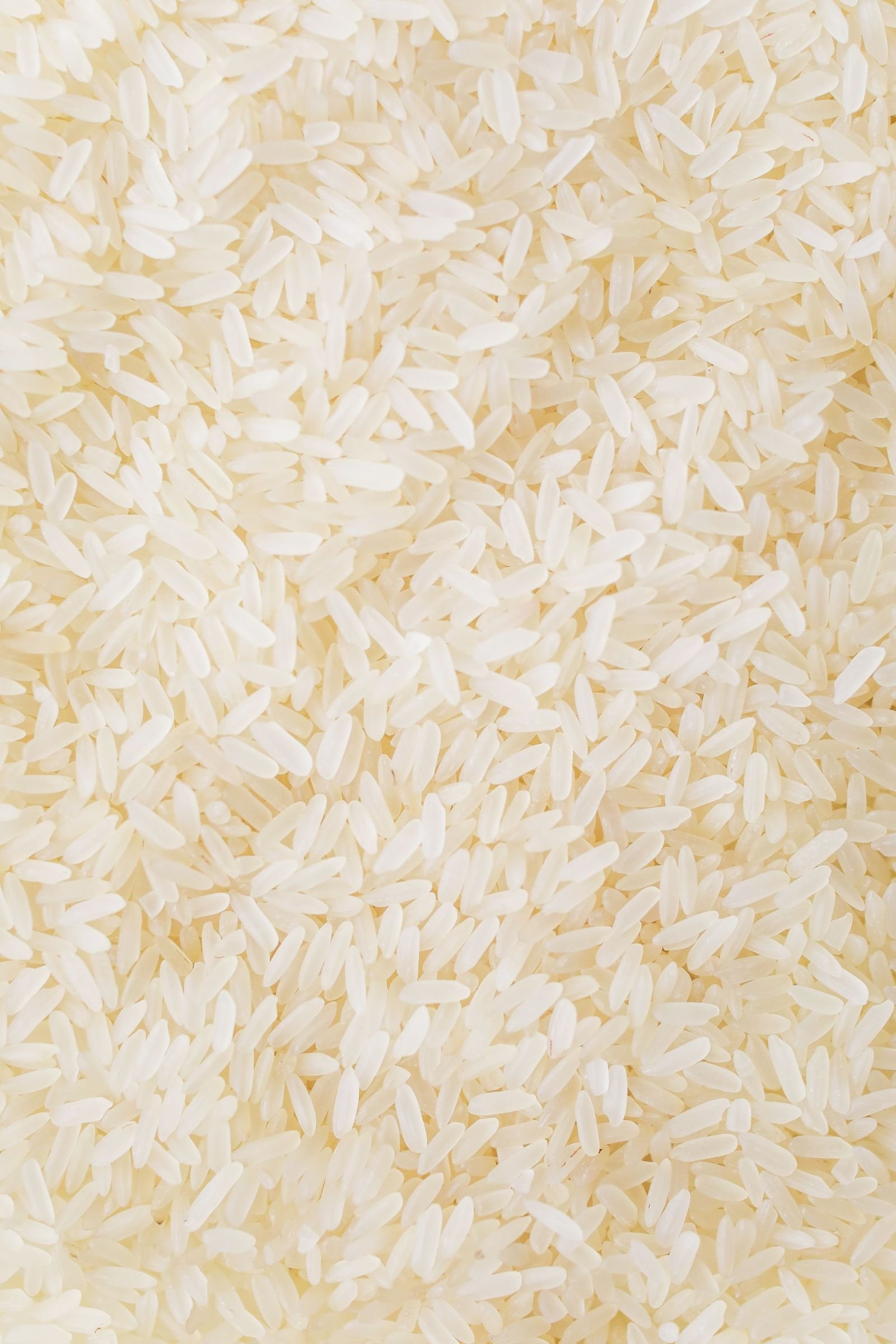 Export-grade Rice, batch 1