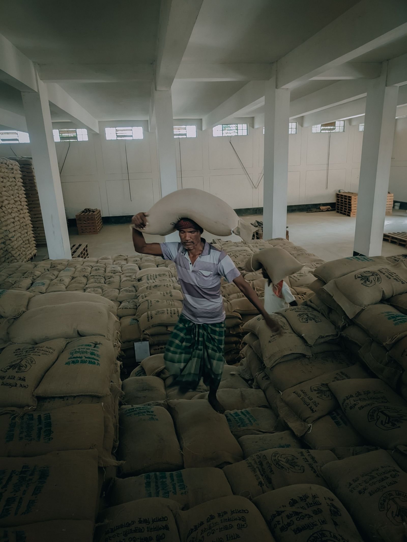 Export-grade Rice, batch 2