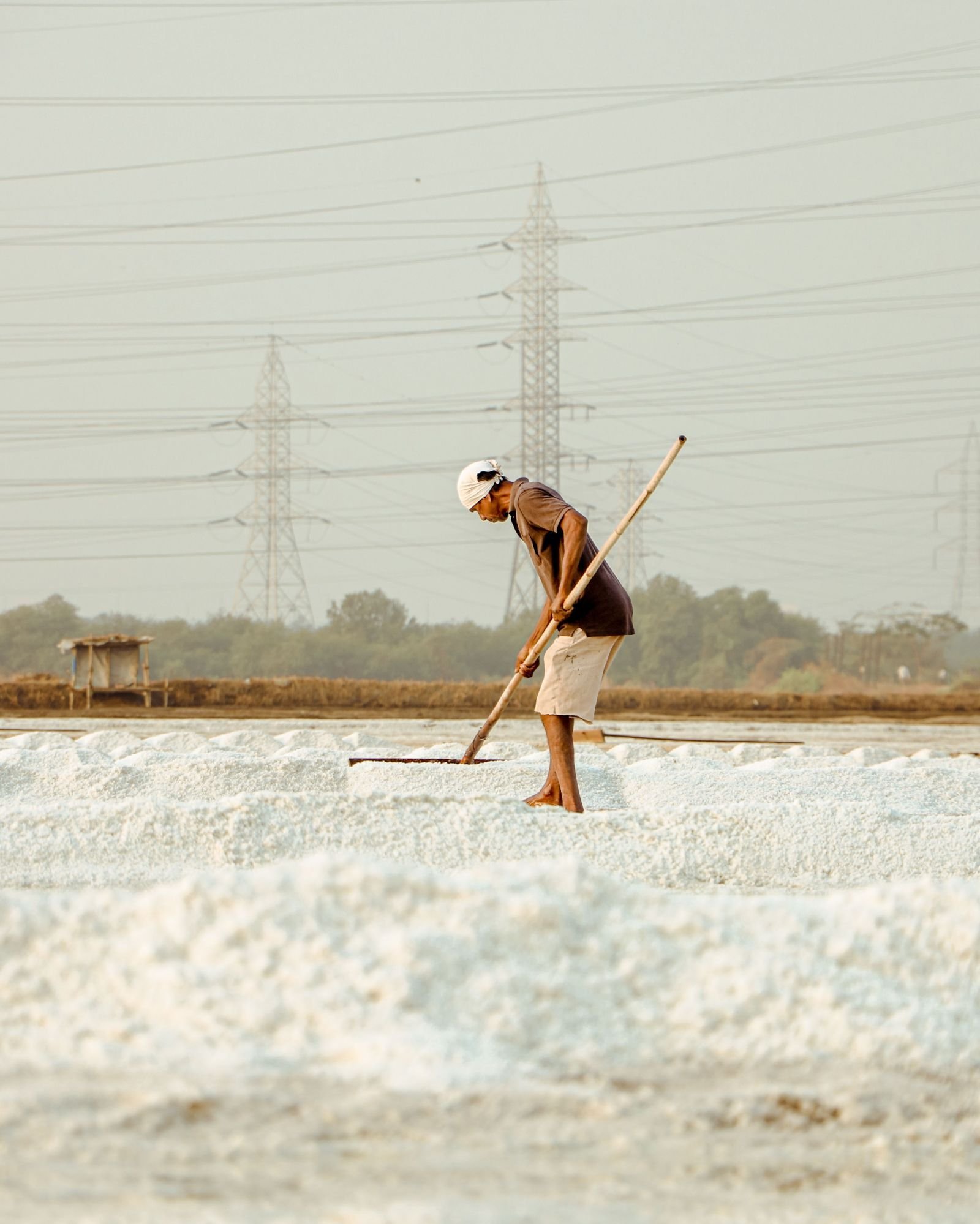 Export-grade Salt, batch 2